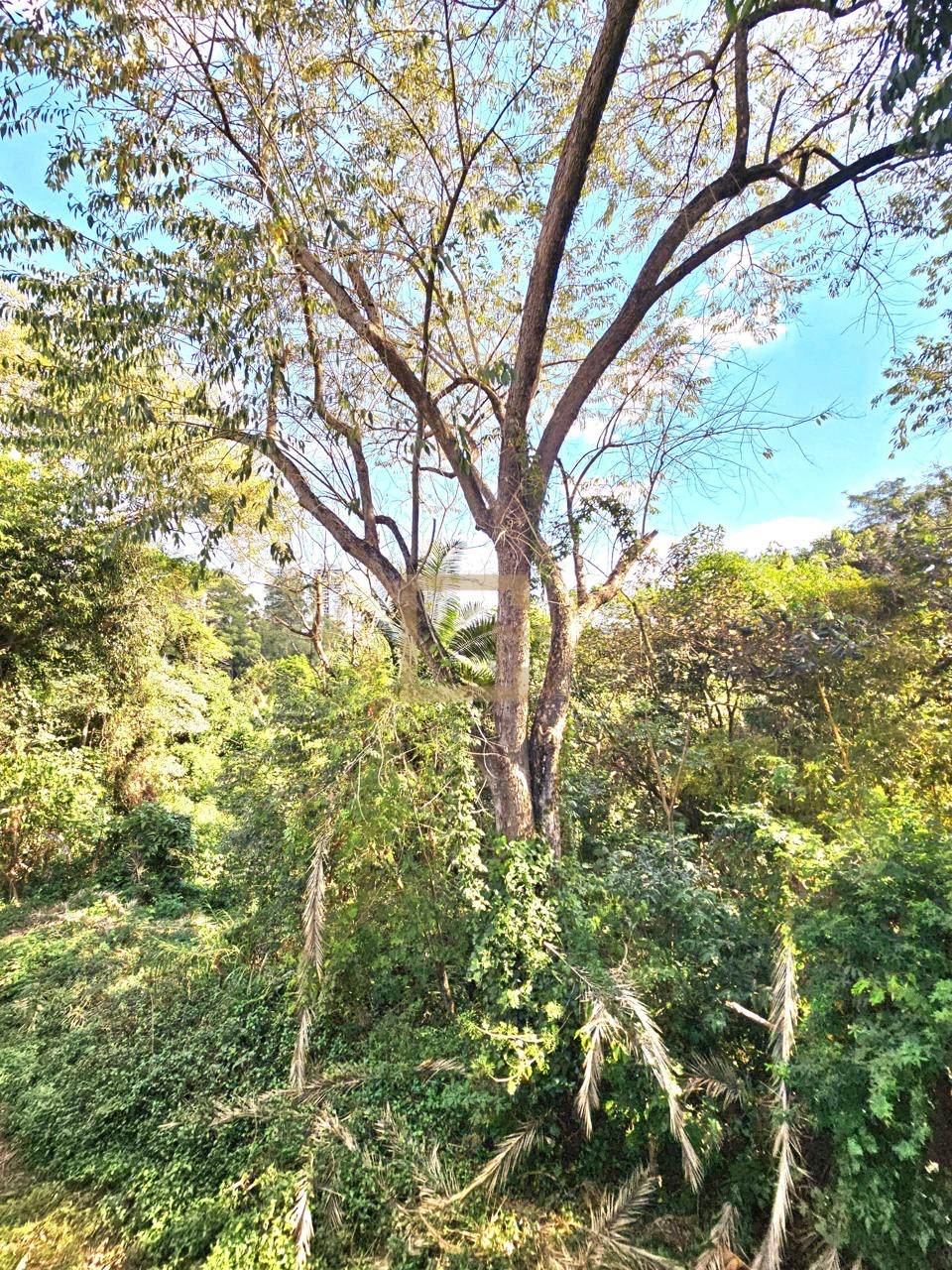 Casa em Condomínio Alpha Conde Alphaville 